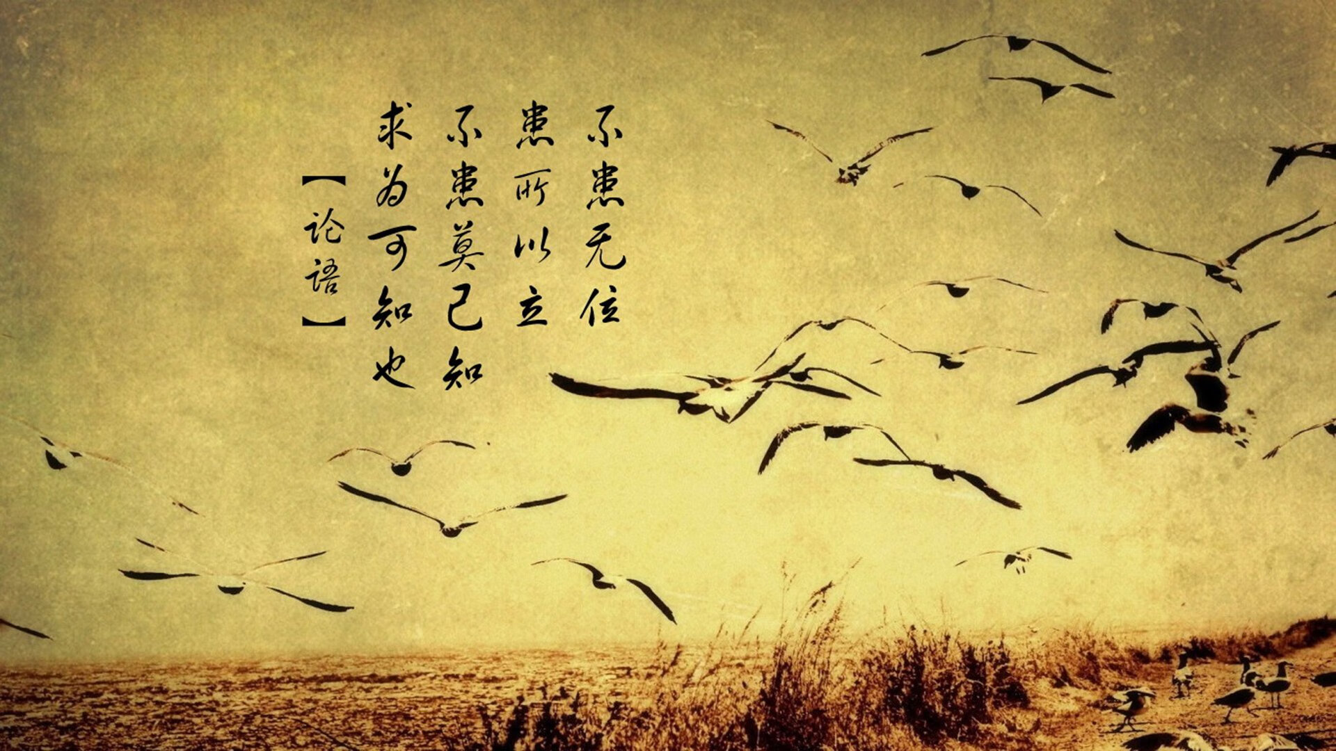 牙买加爆冷克罗地亚,NBA总决赛焦点战中的国际篮球奇迹