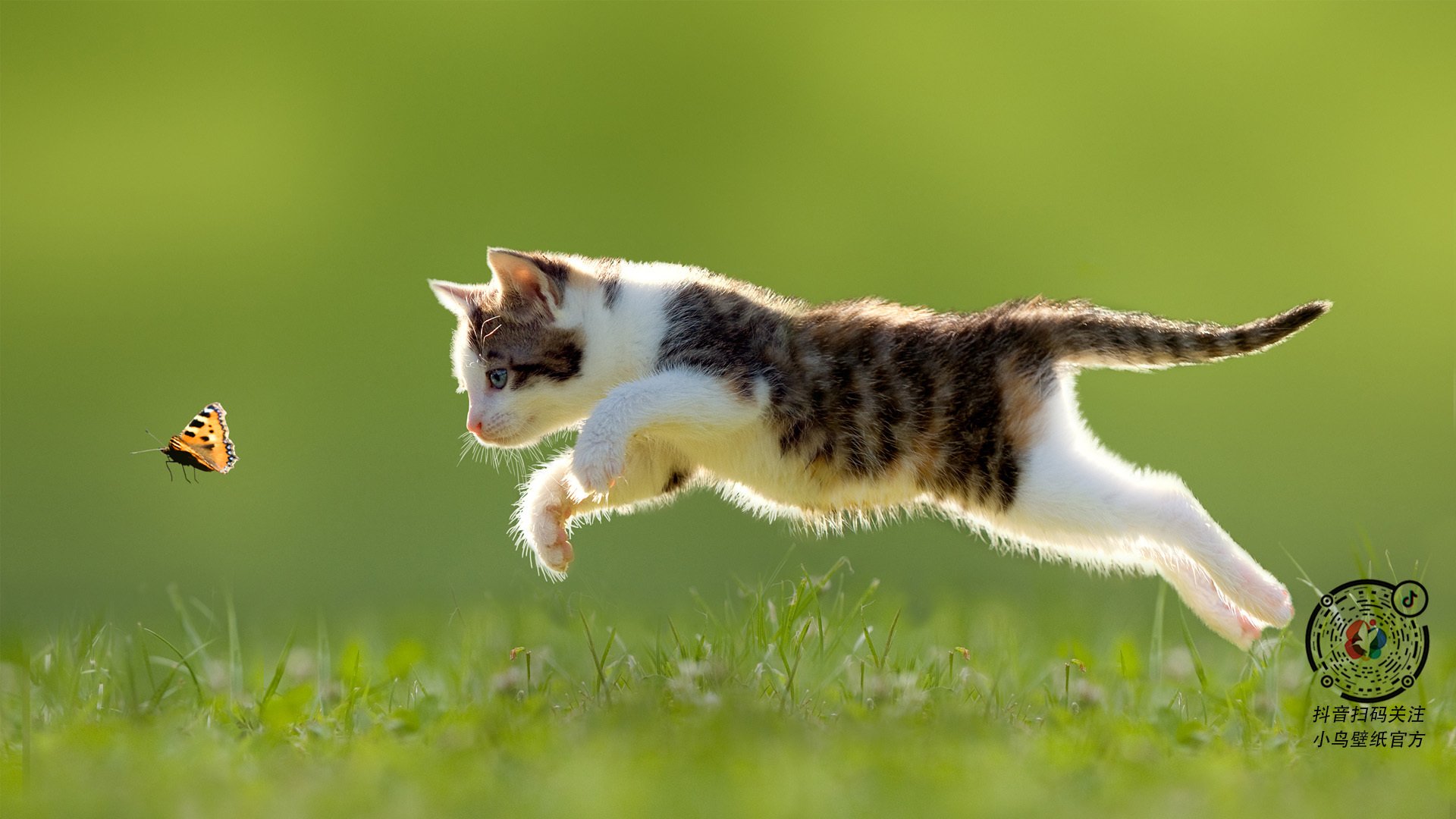 跨越大洋的43分,当深圳防线遭遇杜兰特的神话级表现