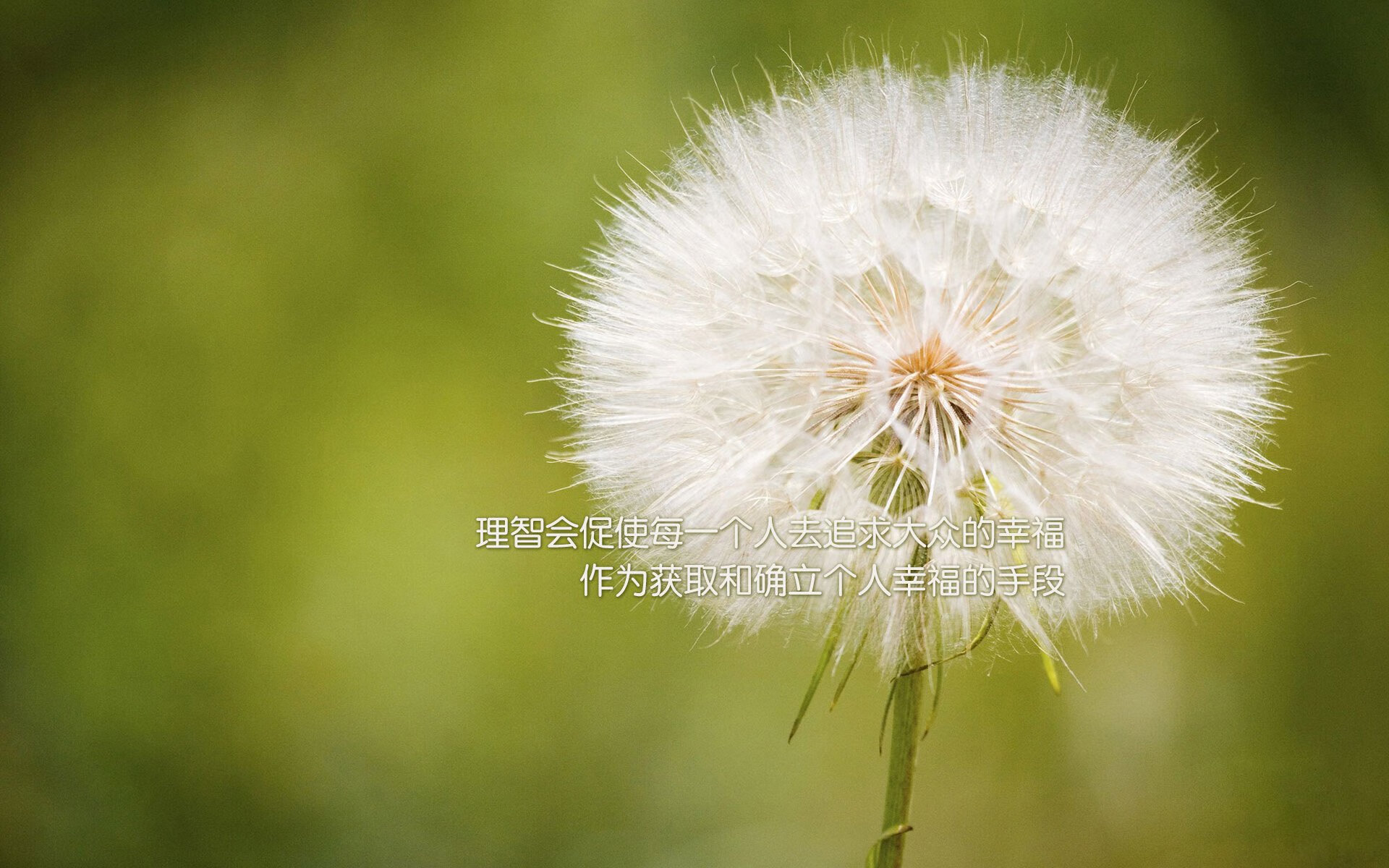 巨轮沉没之夜，无名小卒的审判日，乔治42分难阻上海男篮末节绝境翻盘