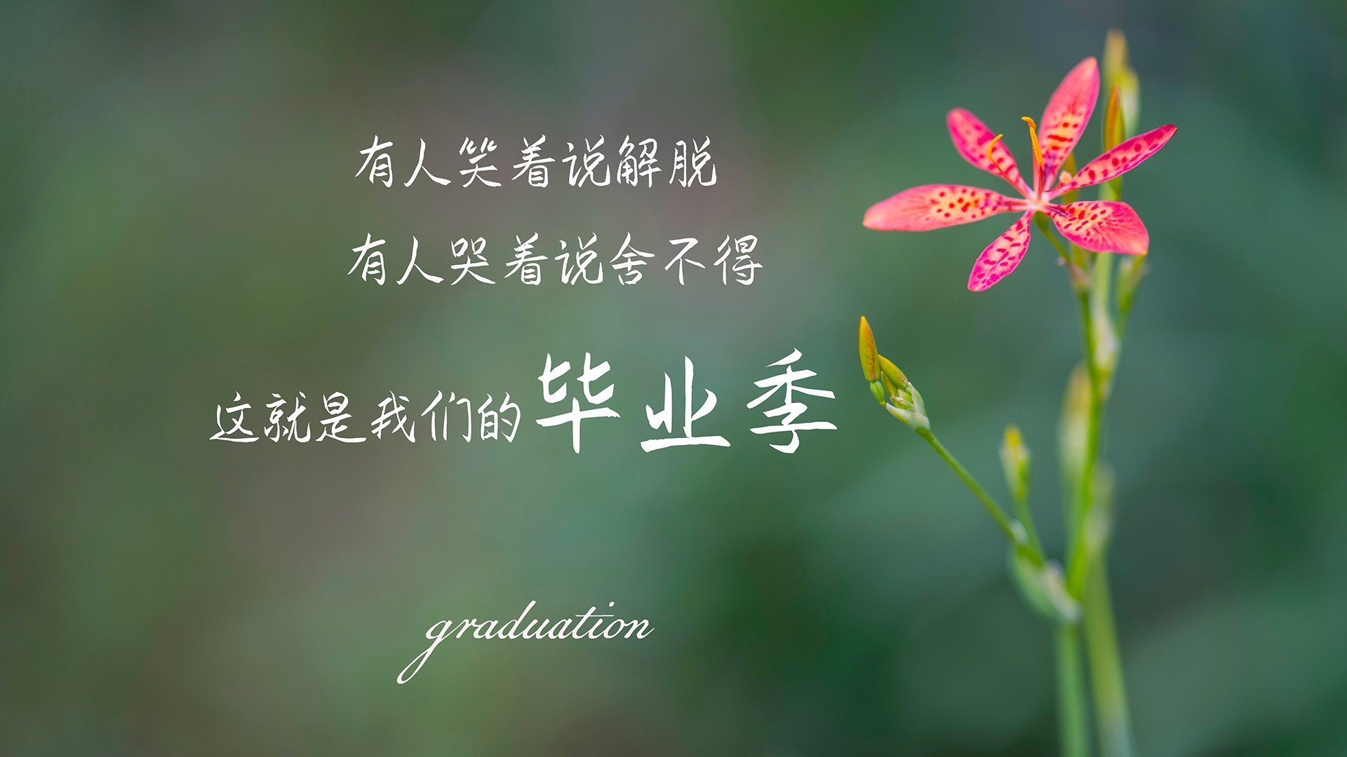 绞杀与反绞杀，复盘马赛如何用窒息式战术让坎特沦为背景板