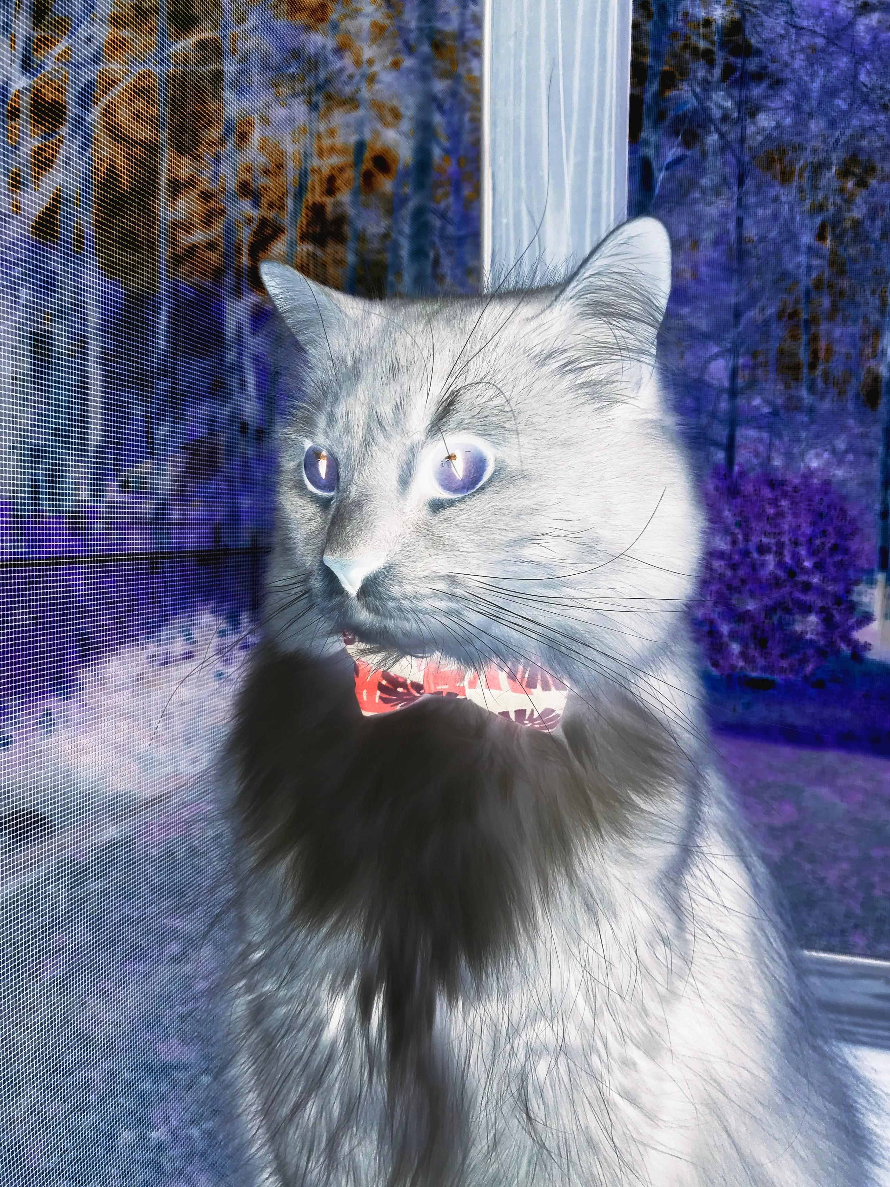 东方弱旅的绝地反击，切特压哨绝杀铸就吉林篮球传奇