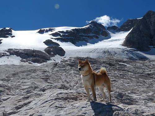 战术之巅，从NBA绞杀战到欧冠逆袭夜的胜负手