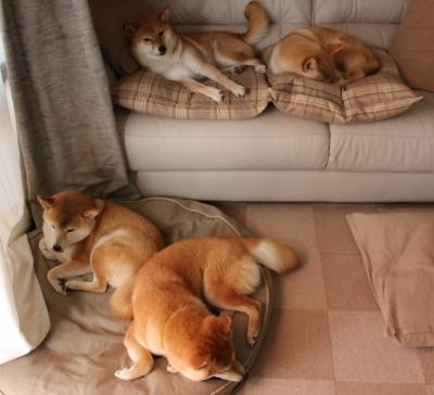 赛道风云启示录，从热火超车老鹰看F1街道赛的决胜哲学