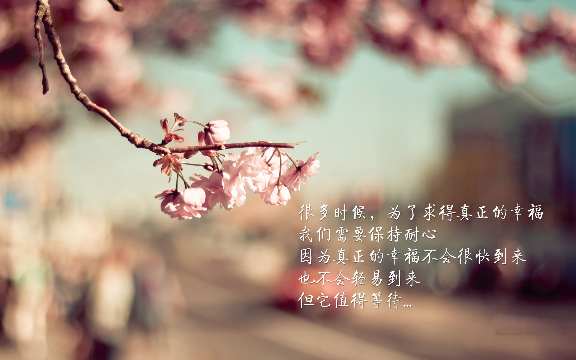开云-极寒之地的火焰,内马尔神迹压哨绝杀,哥斯达黎加逆天改命掀翻冰岛