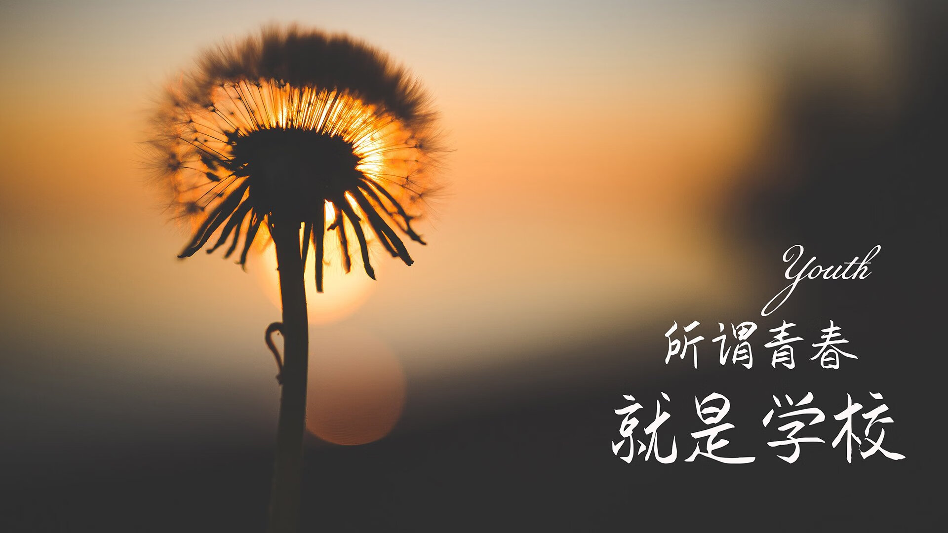 开云体育app-2026世界杯F组激战正酣，乌拉圭力克智利，C罗闪耀中场，老将新星共铸经典